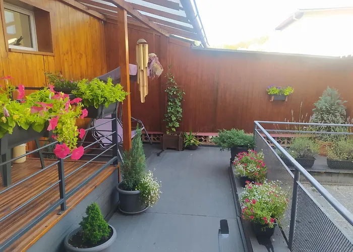 Apartmany V Centru